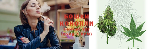 spice Кинешма