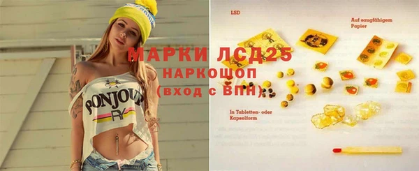 spice Кинешма