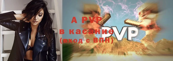 spice Кинешма