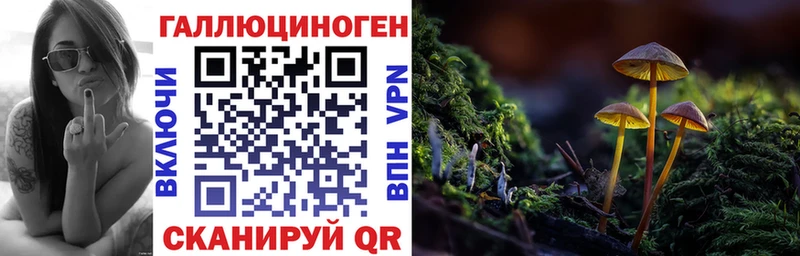 Купить закладки  Ковров  Галлюциногенные грибы мицелий 